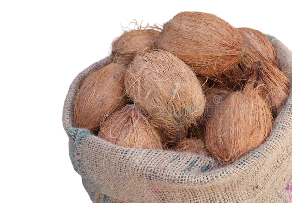 fresh Coconut